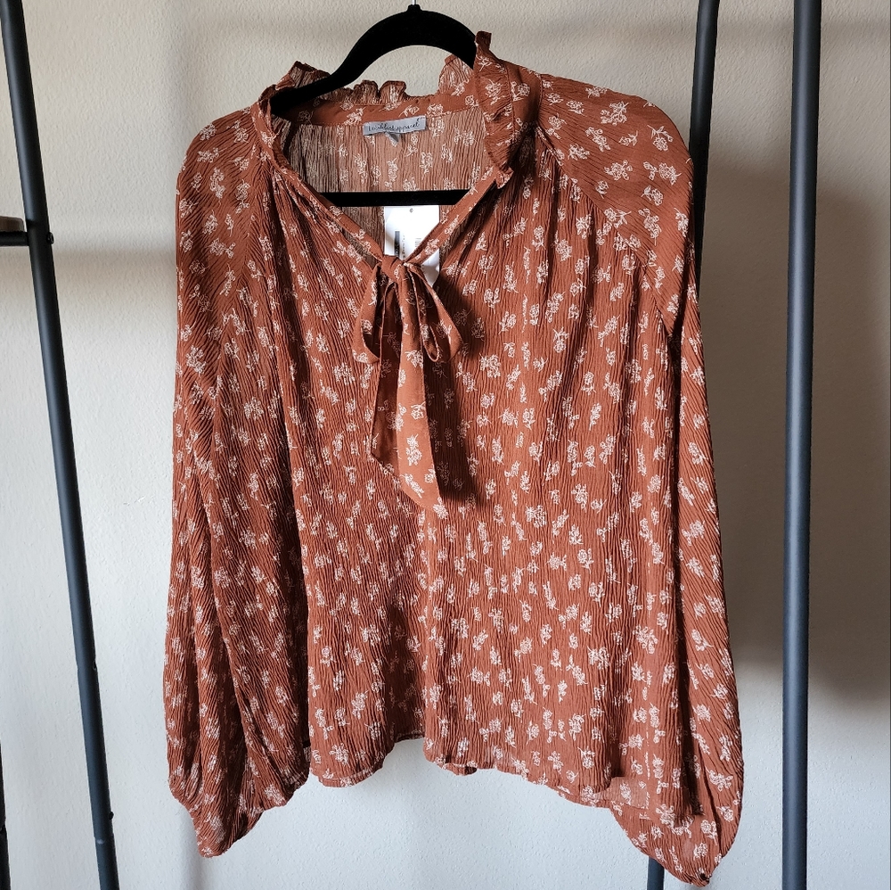 Burnt orange blouse